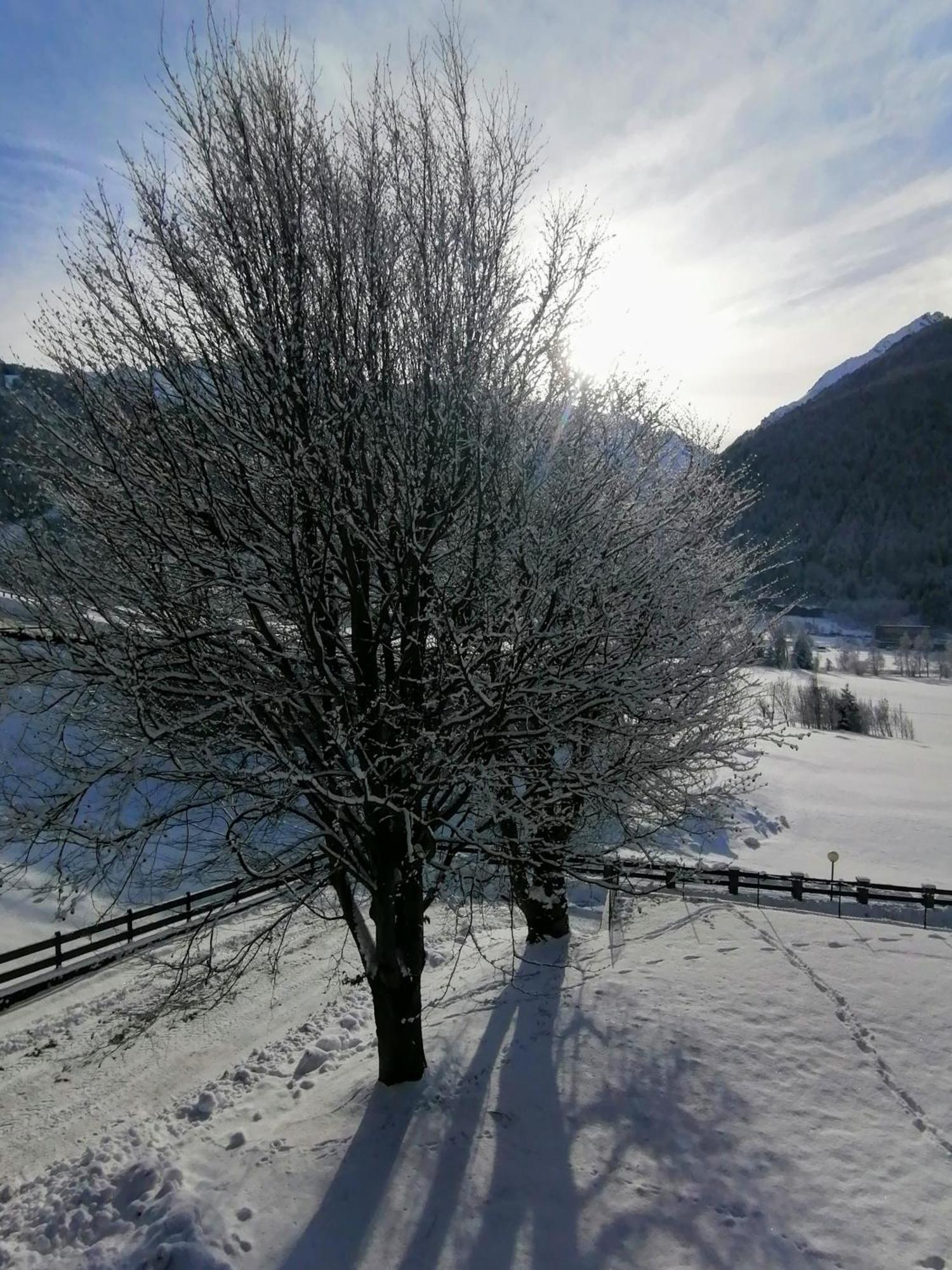 Appartamento Grande casa di famiglia Temù Esterno foto