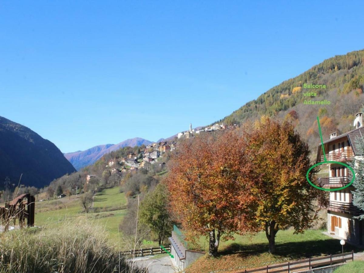 Appartamento Grande casa di famiglia Temù Esterno foto